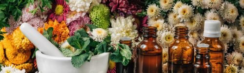 Bach Flower Remedies – Alternative Herbal Medicine